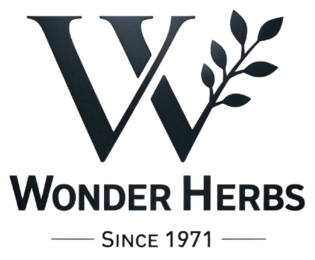 Logo-bg