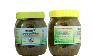 KKF